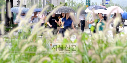 똑똑똑… 가을을 노크하다