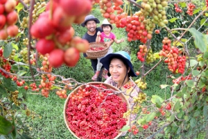 “오미자 다섯 가지 맛 즐기세요”