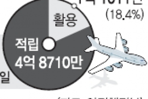 공무 항공마일리지 100억원 내년부터 해외출장 의무사용