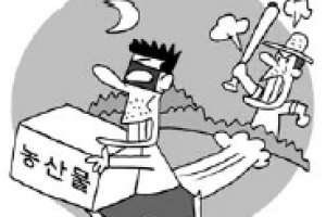 낮에는 농사짓고 밤에는 경비서고…가을 농산물 절도에 잠 못드는 농촌