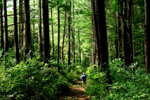 홀로 걷다 보니, 태곳적 신비가…