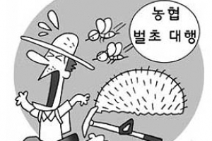 농협 벌초 대행 “안전, 그게 뭐지?”