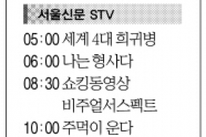 [8일(日) 서울신문 STV·OBS·EBS]