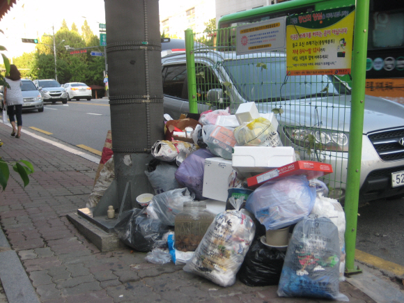 서울 영등포구 주택가 도로변에 재활용품과 생활쓰레기가 분리되지 않고 함께 버려져 있다. 환경부는 단독주택의 재활용제품 수거율을 높이기 위해 통합배출 시범사업을 벌이고 있다.