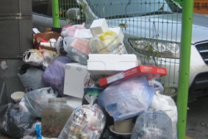 단독주택 재활용품 통합수거… 분리 않고 한 봉투에 배출