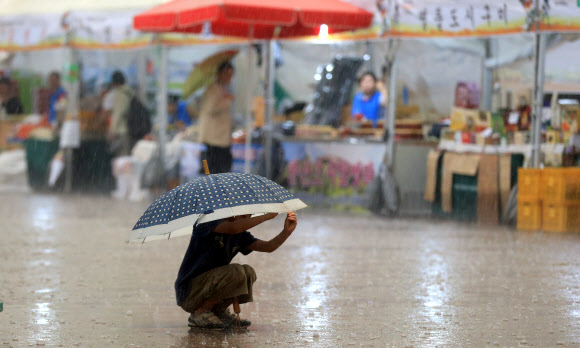 가을비가 내린 10일 오후 서울광장에 한 아이가 우산을 쓴 채 앉아 있다.  연합뉴스