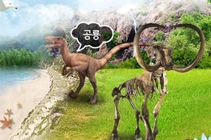 헉! 공룡이랑 상어가 내방에?