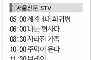 [15일(日) 서울신문 STV·OBS·EBS]