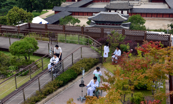서울대학교 암센터 옥상의 치료정원. 정원의 기능은 과거 관상 위주에서 휴식과 치유, 소통 공간으로 다양하게 확대되는 추세다. 