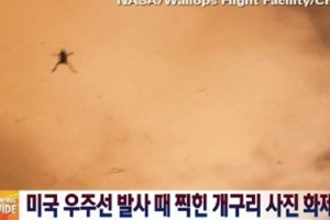 로켓 발사 순간 포착 개구리 “합성 아냐”…발사 뒤 운명은