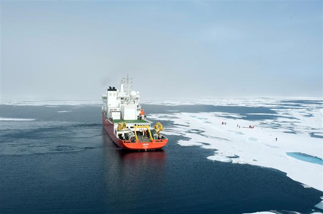 국내 최초의 쇄빙연구선 아라온호가 지난해 8월 북극해에서 해빙 및 해양생물 연구 사업을 진행하고 있는 모습. 연합뉴스