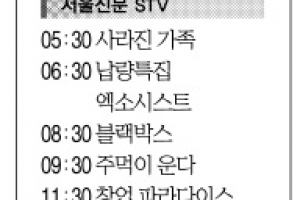 [29일(日) 서울신문 STV·OBS·EBS]