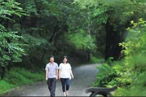 [우리 동네 Secret 스토리] 중랑구 망우리 공원묘지 ‘사색의 길’