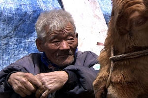 ‘워낭소리’ 최원균 할아버지 별세…누렁이와 함께 묻힌다