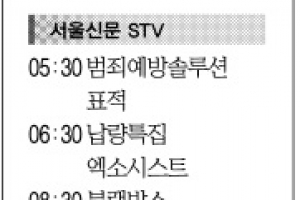 [6일(日) 서울신문 STV·OBS·EBS]