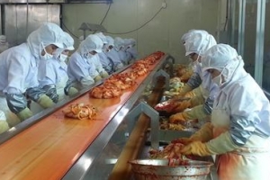 [명인·명물을 찾아서] 전남 순천농협 ‘남도김치’