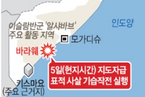 네이비실, 케냐 쇼핑몰 테러단 소굴 급습…알샤바브 지도자 사살·생포 여부 불확실