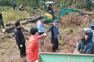 제주 소나무 재선충 확산 전전긍긍