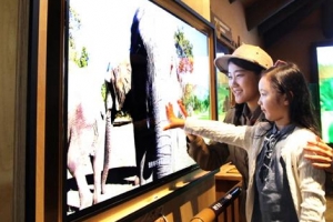 에버랜드 ‘로스트밸리’에 삼성 울트라 고화질 TV