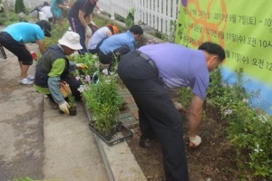 지저분했던 골목길  악취대신 꽃향기가