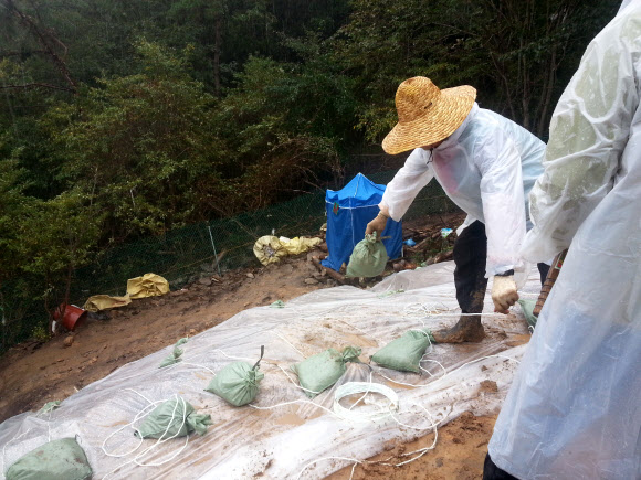 태풍 다나스 대비 8일 오전 경남 밀양시 상동면 109번 송전탑 공사 현장에서 시공업체 직원들이 절개지를 비닐로 덮은 뒤 흙포대로 고정시키는 작업을 하고 있다.  연합뉴스