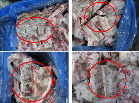 사진은 캐나다산 쇠고기에서 발견된 척주. 김우남 의원실 제공