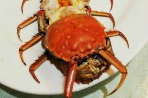 이 징그러운 동물이 요리?