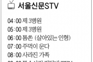 [서울신문 STV]