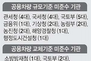 정부기관 12곳, 공용차 규정 어겨 혈세 낭비