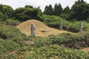 “할아버지 묘 파낸 5촌 어른 처벌해주세요”…웬수 된 가족들 [판도라]
