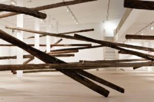 브라질·태국서 온 이색 전시회