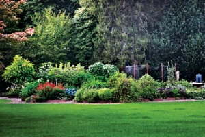 셧다운의 위력? 잡초 무성한 백악관 정원