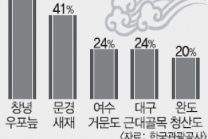 ‘한국관광 100선’ 투표 지자체 과열경쟁