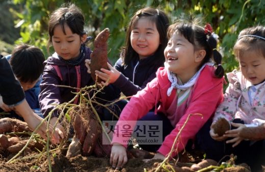 아이♥고구마