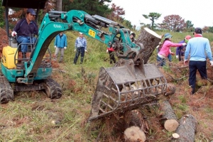 [이슈&이슈] 올레길이 소나무 고사길로… 내년 4월까지 20만그루 피해 전망