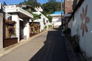 꽃향기 솔~솔  방花동