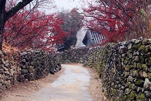 ‘내 마을 관광지化’ 주민 열정  1년 끌던 투자자 마음 열었다