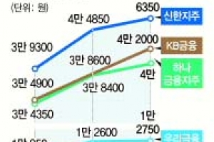 [증시 전망대] 가파른 상승 은행주 믿고 투자해도 될까