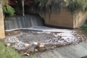 싸우는 사이… 하루에 돼지 분뇨 228t 무단 방류