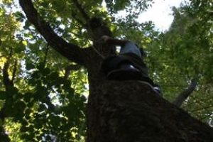 야생동물·지뢰밭 피해서… ‘황제’ 상황버섯 찾는 험난한 여정