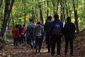 산림청 감성경영에 직원들 好好