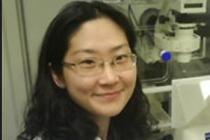 “잘린 손가락 회복 원리    말초신경 3개 인자 덕분”