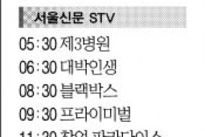 [3일(日) 서울신문 STV·OBS·EBS]