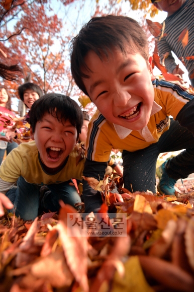 낙엽과 함께 추억만들기