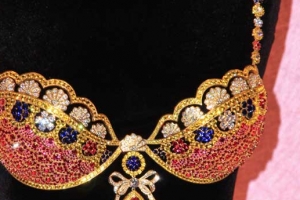 입 벌어지는 ‘106억원 속옷’