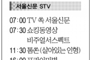 [9일(土) 서울신문 STV·OBS·EBS]