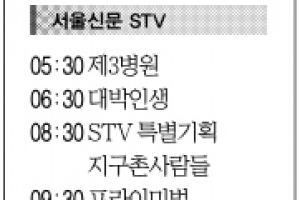 [10일(日) 서울신문 STV·OBS·EBS]