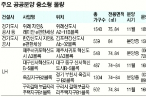 60~85㎡ 중소형 공공분양 막차 타라