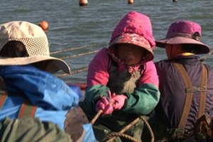 어민의 땀으로 완도의 꿈·보물이 된 전복