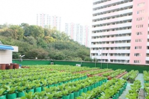 ‘갈등’ 뽑고 ‘화해’ 심은 임대주택 옥상 사랑방